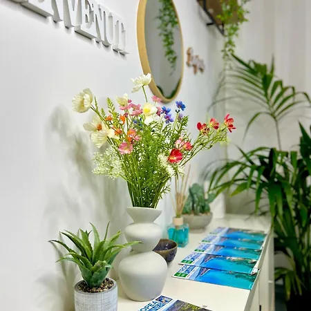 Elios B&B 트로페아